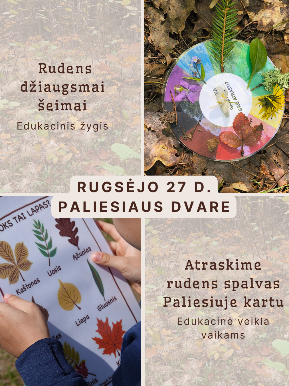 VEIKLOS PALIESIAUS DVARE