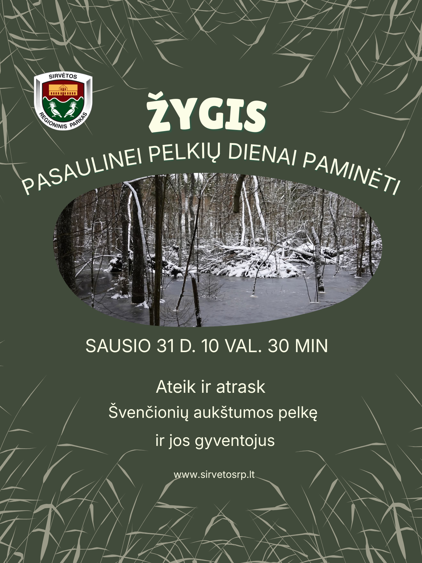 PASAULINĖS PELKIŲ DIENOS ŽYGIS SIRVĖTOS REGIONINIAME PARKE