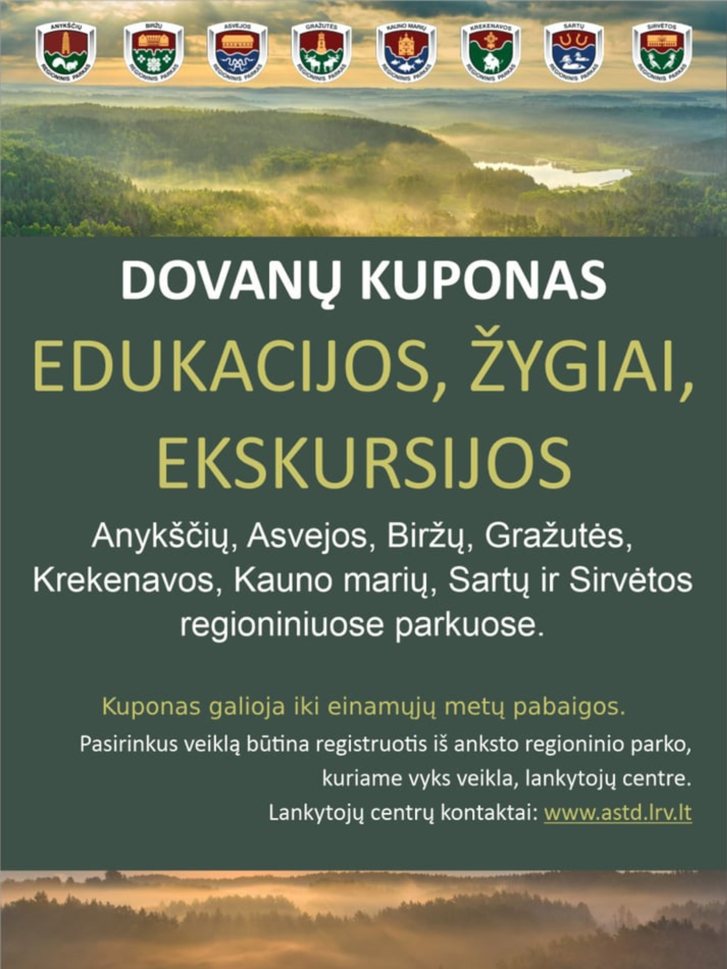 PAVARGAI NUO DOVANŲ, KURIOS DULKA ANT LENTYNOS?